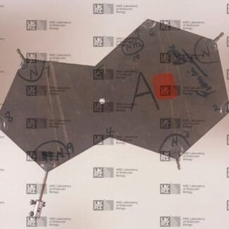 Metal molecular model of nucleic acid base adenine, with numbered atoms and chemical groups with LMB logo watermark overlay.
