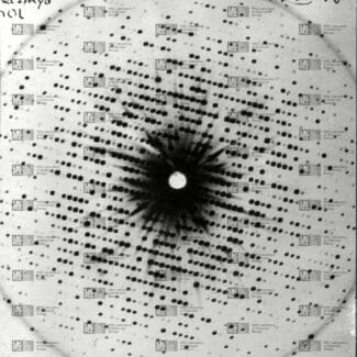 X-ray diffraction pattern showing a symmetrical array of spots, used to determine the crystal structure of myoglobin with LMB logo watermark overlay.