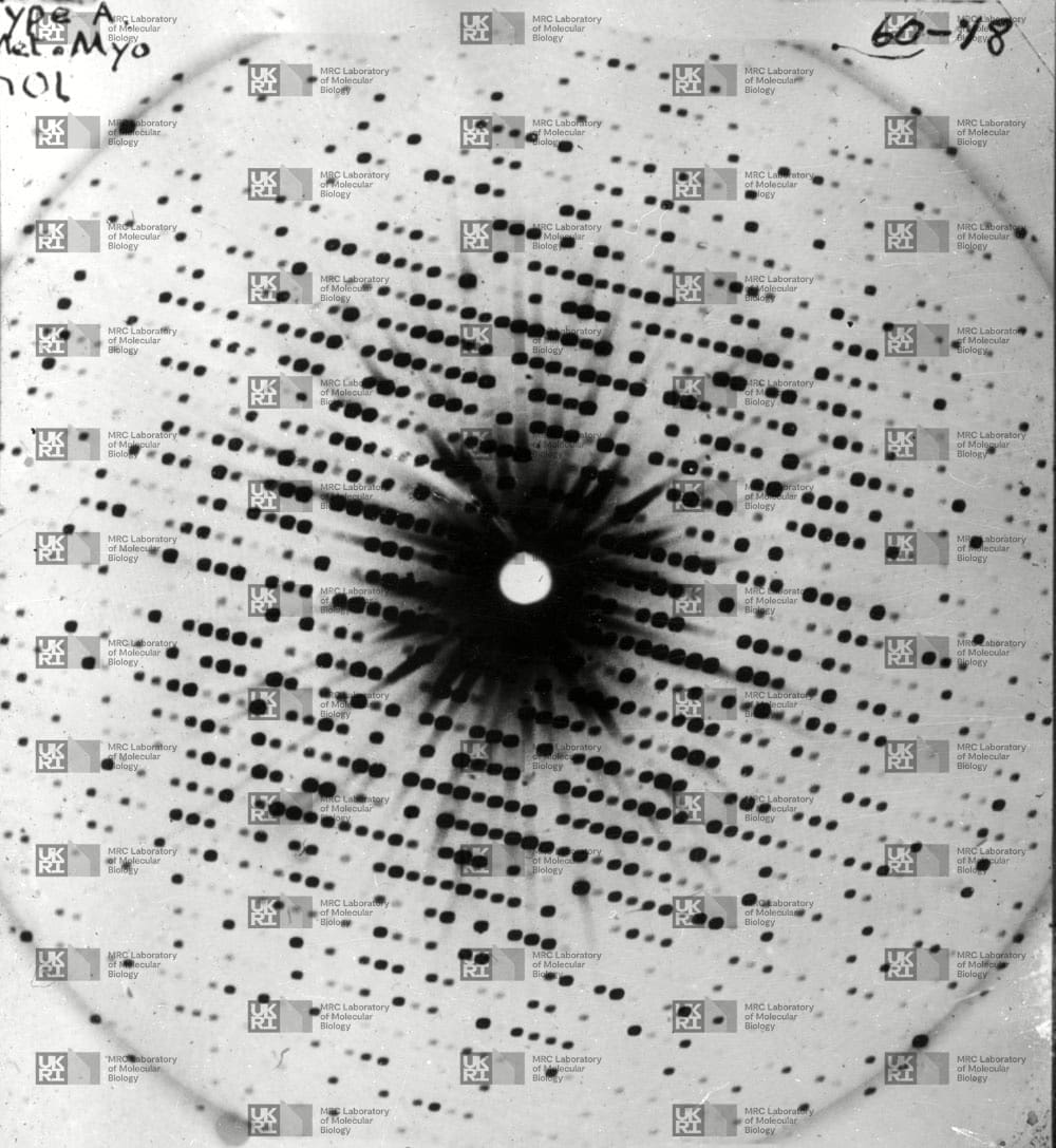 X-ray diffraction pattern showing a symmetrical array of spots, used to determine the crystal structure of myoglobin with LMB logo watermark overlay.