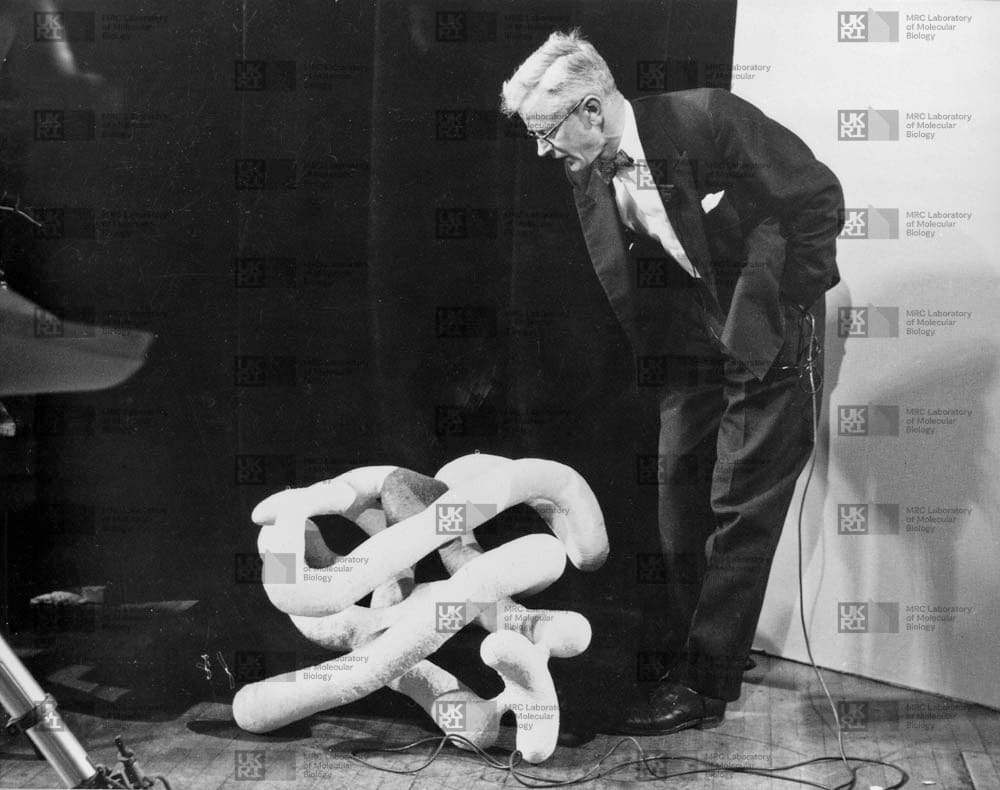 John Kendrew with large myoglobin sausage model with LMB logo watermark overlay.