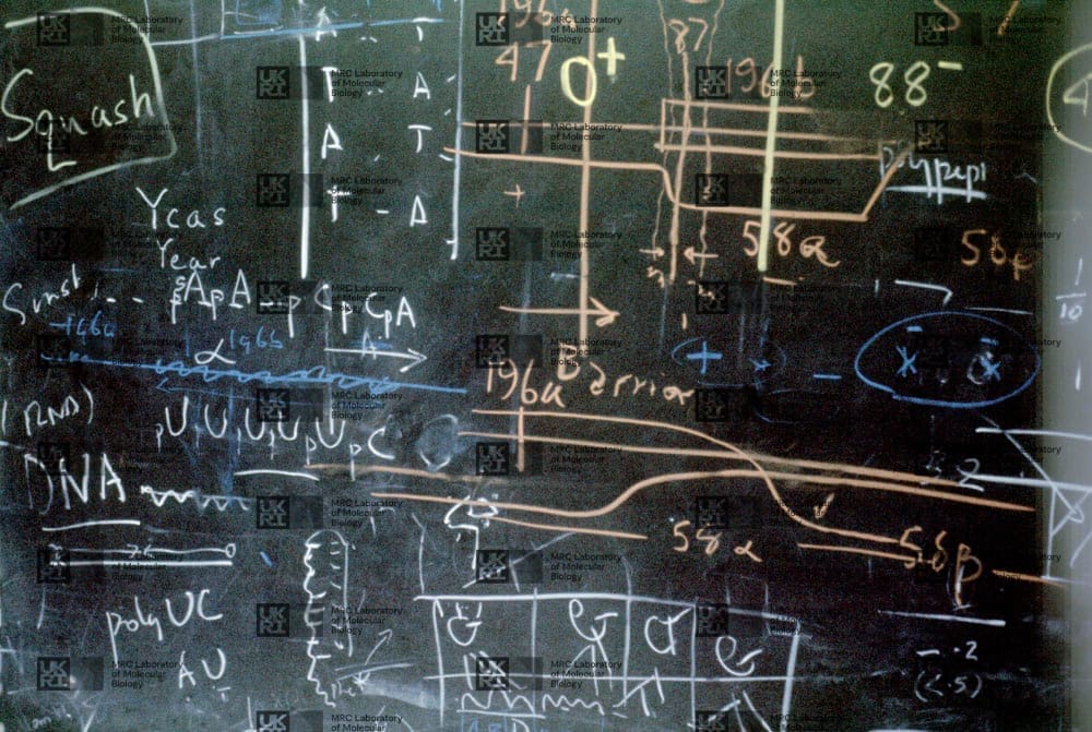 Blackboard notes with LMB logo watermark overlay.