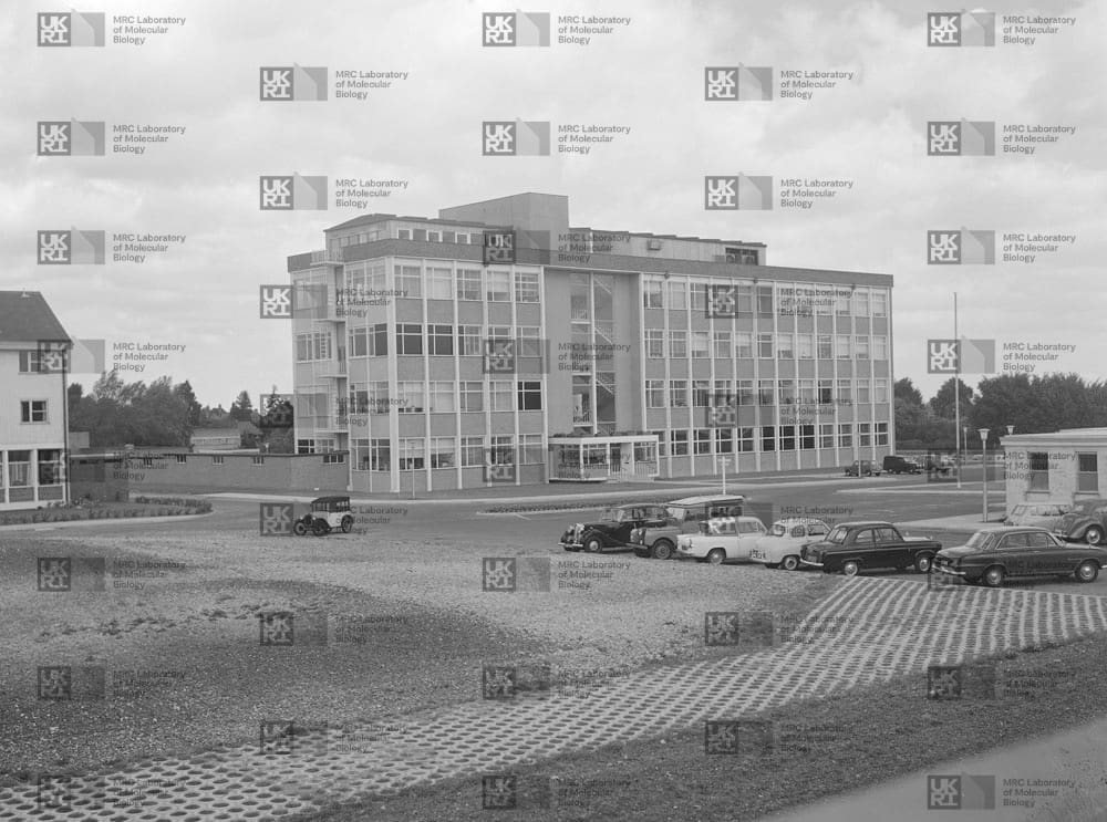 Modern three-story building with many windows, surrounded by a paved lot with several 1960s-era cars, and green areas under an overcast sky with LMB logo watermark