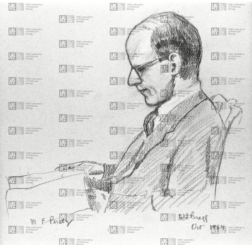 Max Perutz pencil drawing with LMB logo watermark