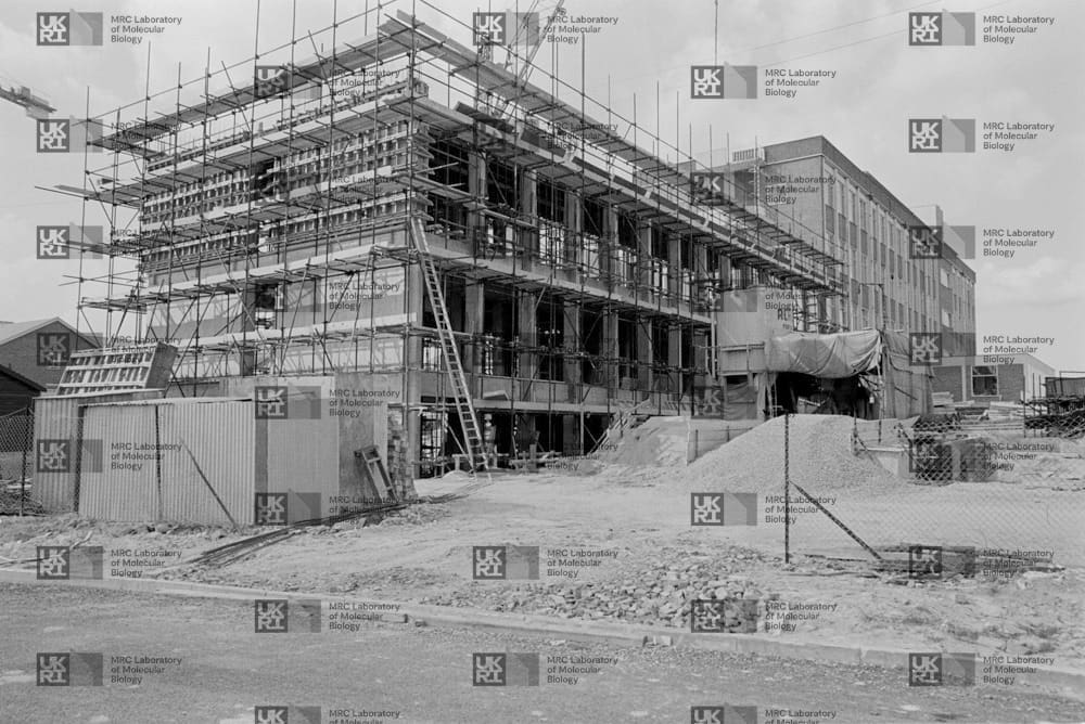 Multi-story laboratory building under construction with extensive scaffolding, a large ladder, piles of dirt, and temporary structures with LMB logo watermark