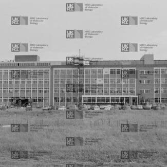 Multi-story building with scaffolding on the left, many windows, parked cars, and a grassy field in the foreground with LMB logo watermark overlay.