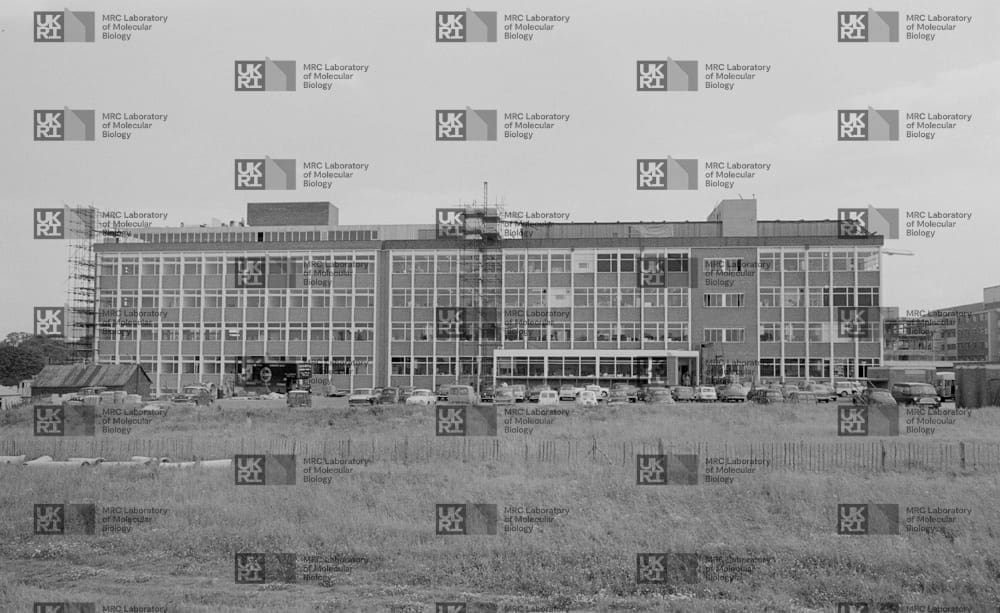 Multi-story building with scaffolding on the left, many windows, parked cars, and a grassy field in the foreground with LMB logo watermark overlay.