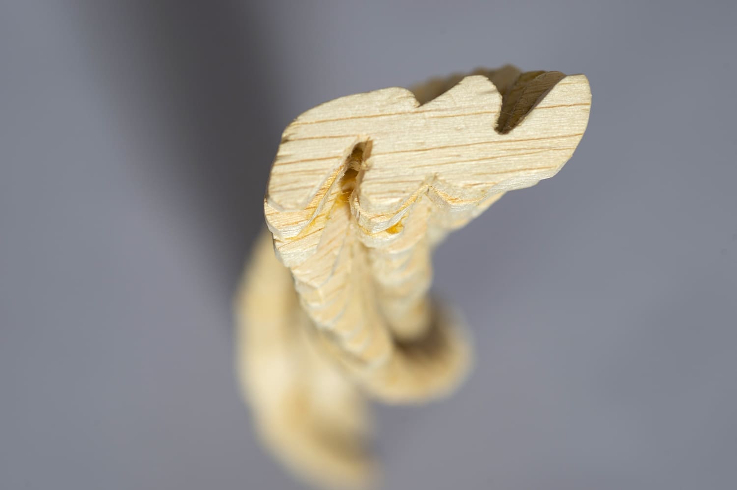 Cross-section of a wooden structure