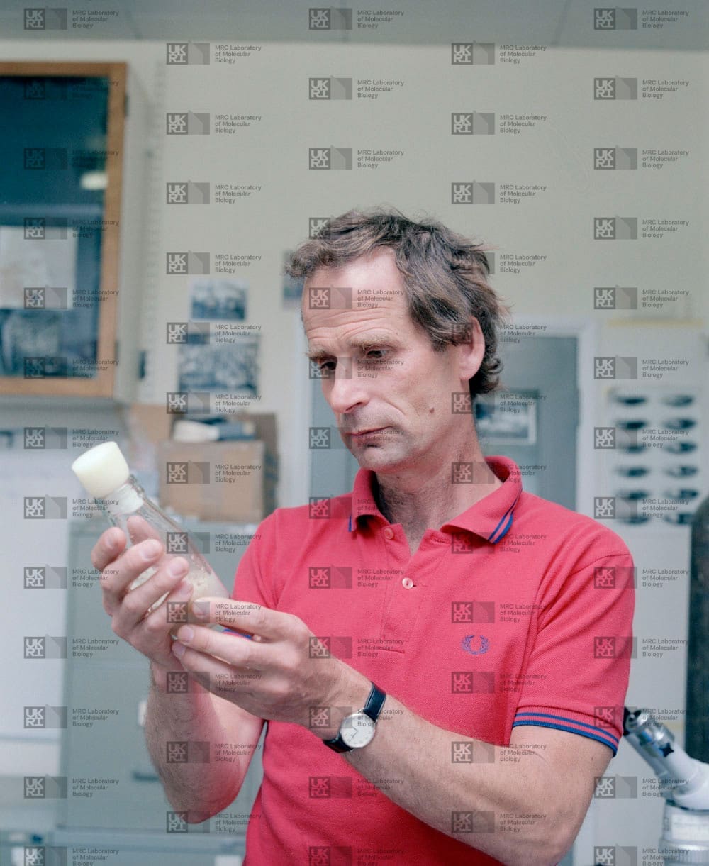 Peter Lawrence with LMB logo watermark overlay.