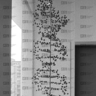 Large ball-and-spoke DNA model in a display case with LMB logo watermark overlay.
