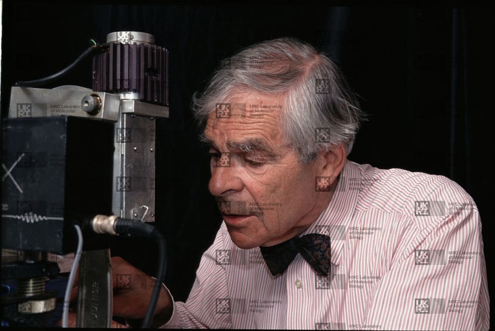 Uli Arndt with LMB logo watermark overlay.