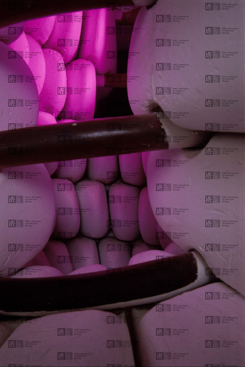 Stacked light-colored cylindrical structures, lit by glowing magenta light, are intersected by two horizontal dark brown rods with LMB logo watermark overlay.