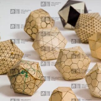 Various light brown geometric paper models with intricate patterns, including hexagons, triangles, and circles, scattered on a white surface with LMB logo watermark overlay.