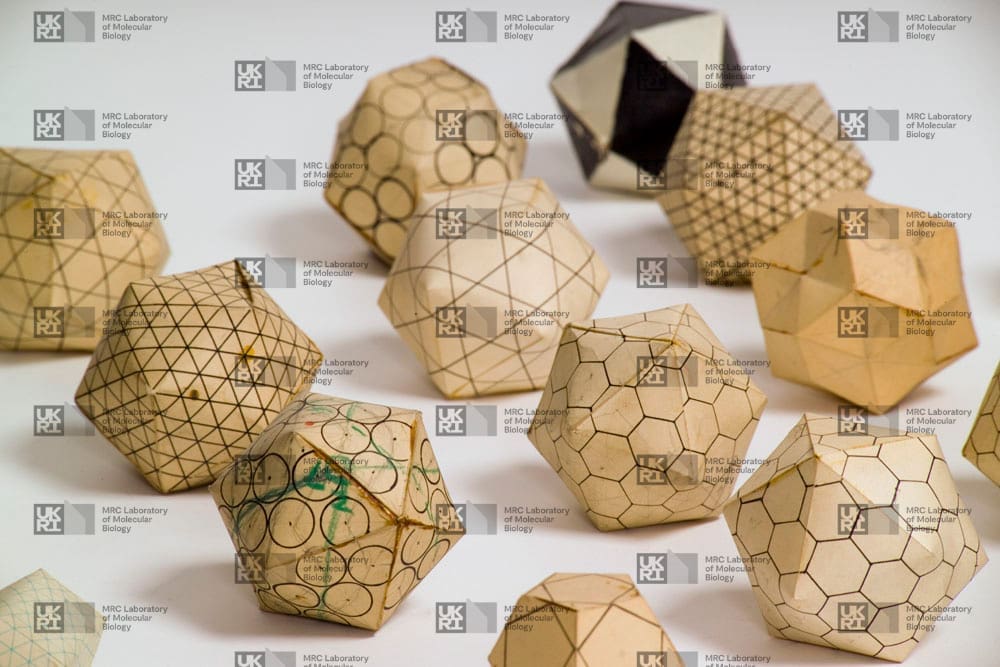 Various light brown geometric paper models with intricate patterns, including hexagons, triangles, and circles, scattered on a white surface with LMB logo watermark overlay.