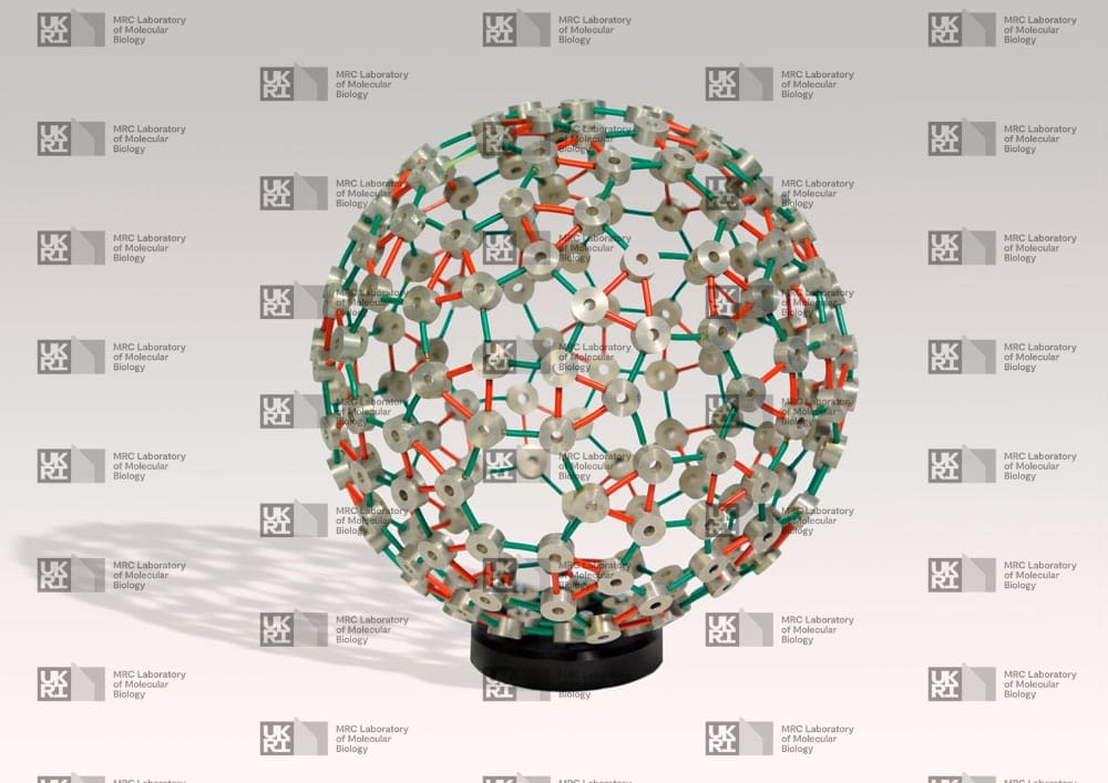Physical model of a virus capsid, a spherical protein shell constructed from interconnected rods and rings with LMB logo watermark overlay.