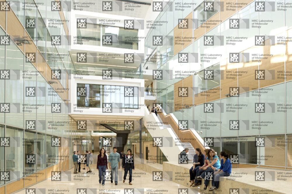 Modern multi-level building atrium with glass walls, wooden accents, stairs, and people walking and sitting with overlay of MRC LMB logo watermark.