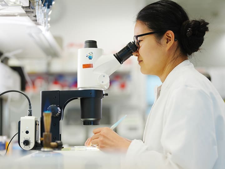 Researcher in a lab coat looking through a microscope at samples.