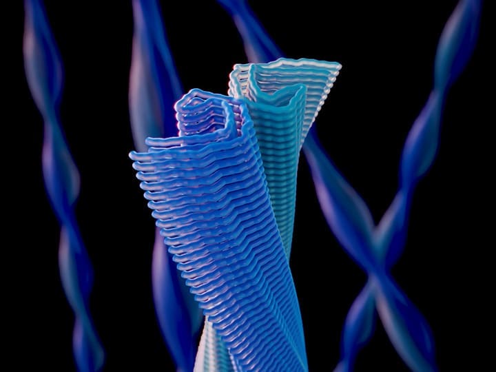 Corrugated multilayered tubular structures and twisted helical tau filaments.