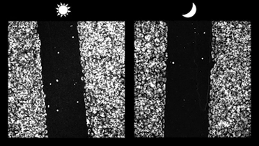 Timelapse video shows that, in vitro, monolayers of fibroblast cells migrate more quickly to heal a wound incurred during the daily active phase than during the rest phase, that usually coincides with sleep