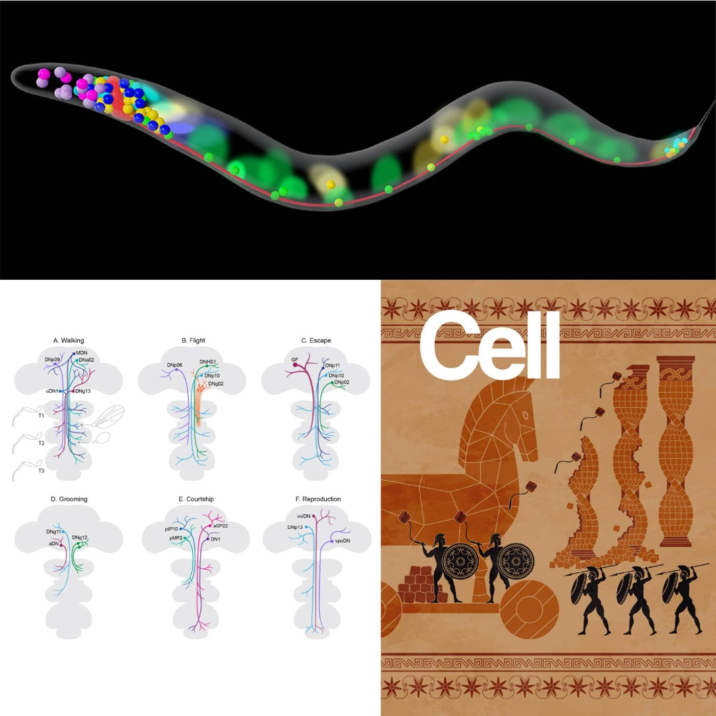 Vislab VisLab | MRC Laboratory of Molecular Biology