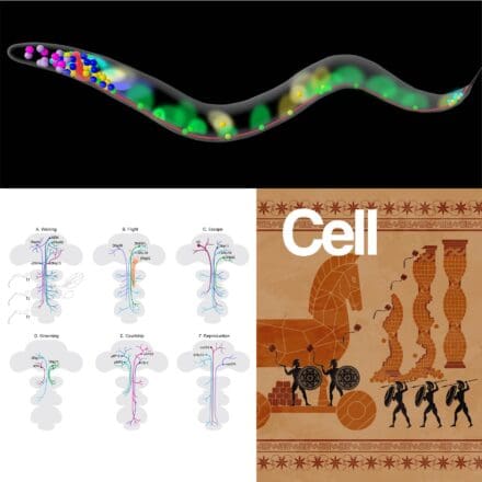 A few representative works from VisLab. (top) A press release image. (left) A paper figure. (right) A journal cover.