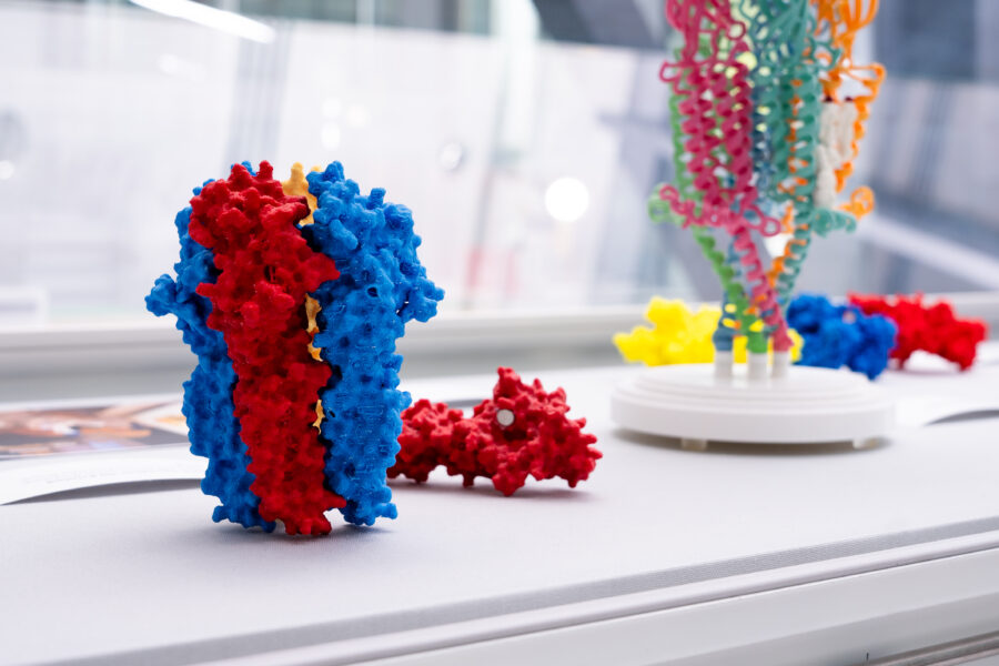 A blue, red, and yellow 3D molecular model stands upright on a display with other colourful scientific models blurred in the background.