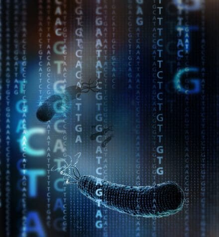 E. coli cells with flagella move through digital streams of DNA nucleotides A, C, G, T, depicting genomic data.