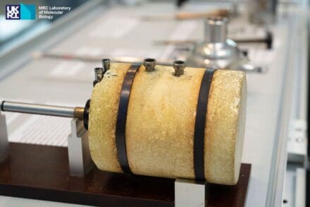 Yellow-stained polystyrene cylinder held in a metal clamp