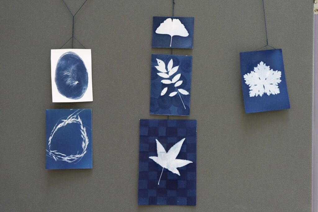 Hanging photographic prints in blue and white, depicting silhouttes of leaves, grain, and a feather.