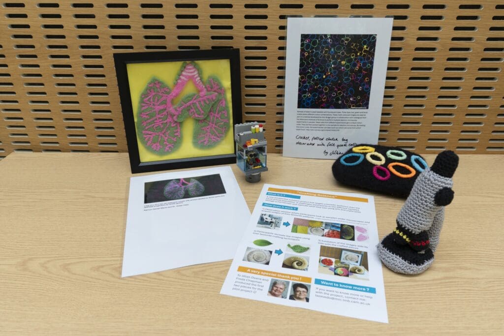 Table displaying printed scientific images alonside reprentations in fabric, embroidery, crochet, and lego.