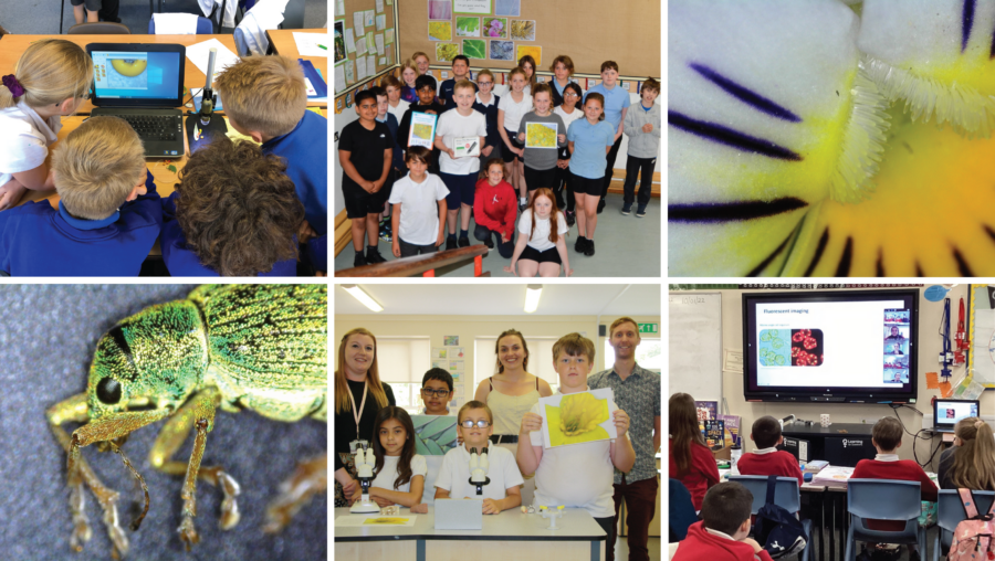 Collage of microscope images of insects and flowers alongside school children
