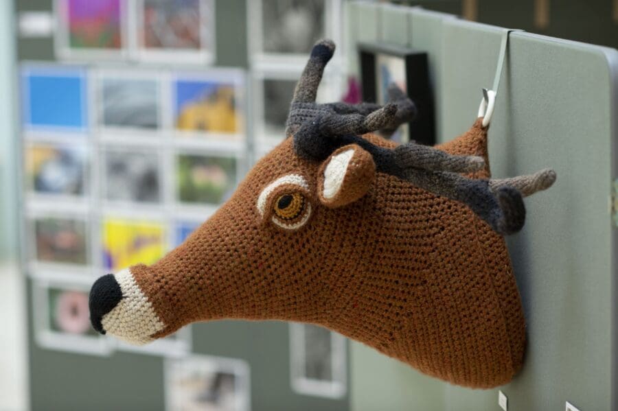 A brown crocheted deer head with white accents, black nose, and gray antlers hangs on a grey cubicle wall, with blurred photos in the background.