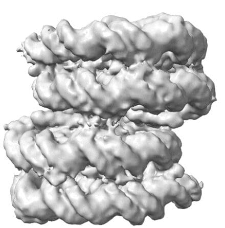 Column-like structure of telomeric chromatin comprised of four stacked nucleosomes