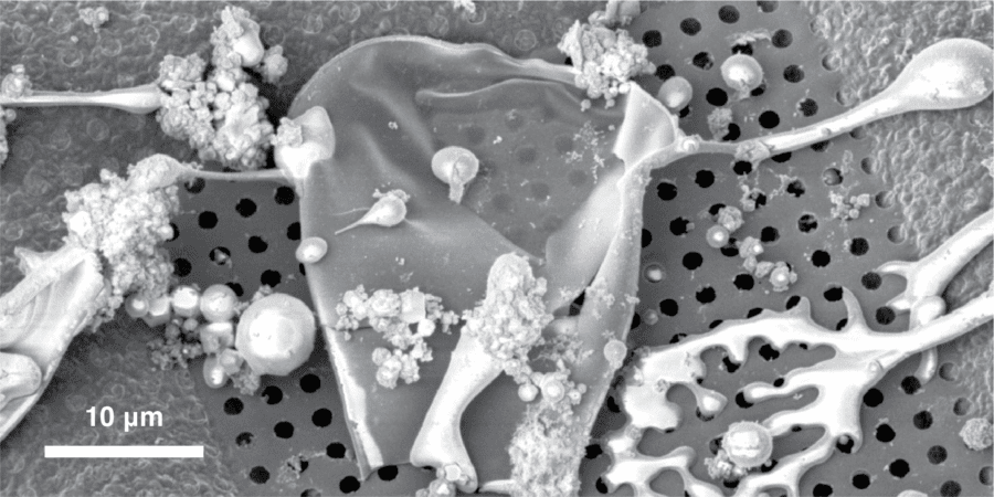 Droplets frozen on a grid captured by scanning electron microscopy