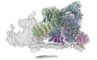 Cryo-ET structure of the GOLPH3 complex, displaying various protein domains in color within a translucent molecular envelope.
