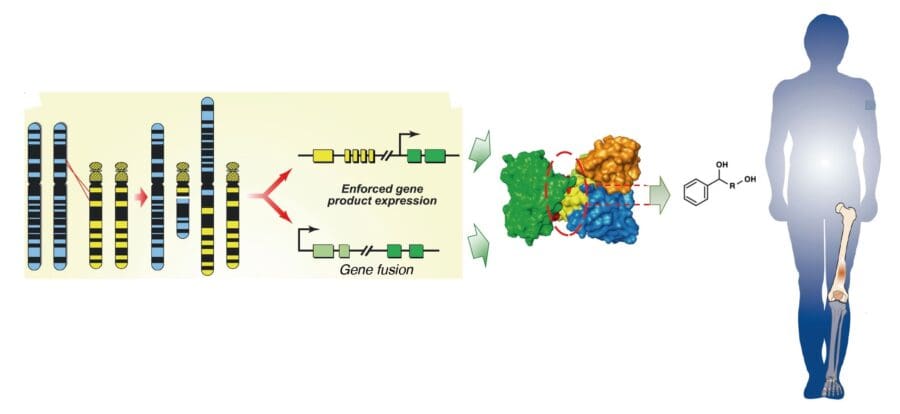 Chromosomal translocation creates a gene fusion, leading to enforced expression of a protein complex, which is then targeted by a small molecule drug for therapeutic intervention in disease.