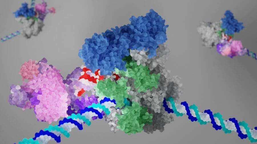 Cryo-EM structure of elongating Pol II with transcription elongation factors bound to U1 snRNP, revealing direct protein-protein interactions between the transcription and splicing machineries.