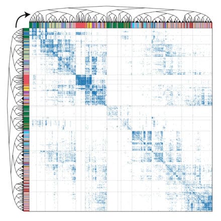 A plot showing presynaptic (y axis) and postsynaptic neuronal connectivity (x axis) matrix of the entire Drosophila larval brain, used for hierarchical clustering resulting in 93 connectivity-based neuron types