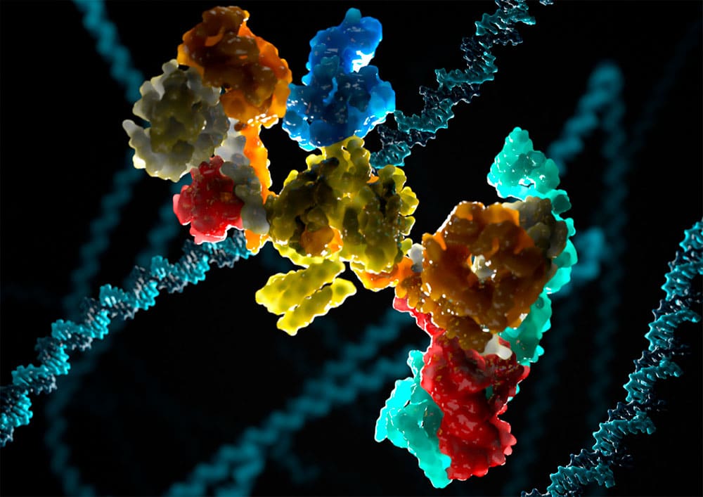 Fanconi anaemia core complex structure
