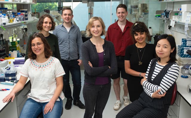 Taylor lab group shot