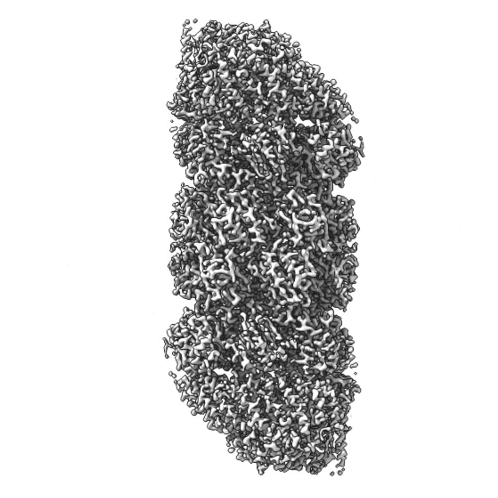 The human 20S-PA200 proteasome assembly