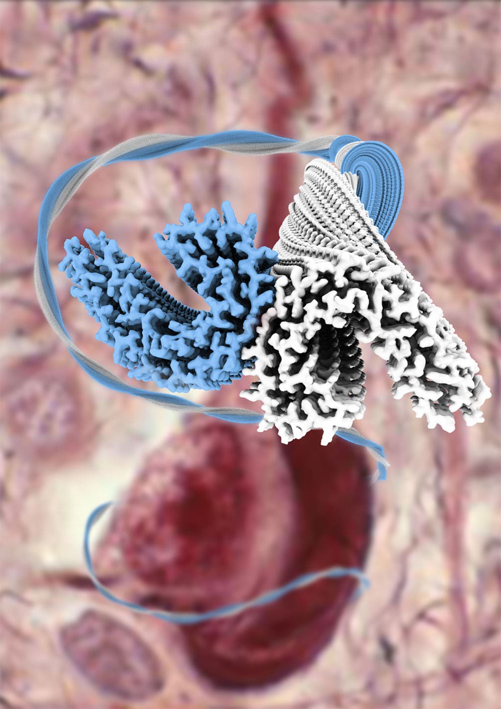 Tau filament structures