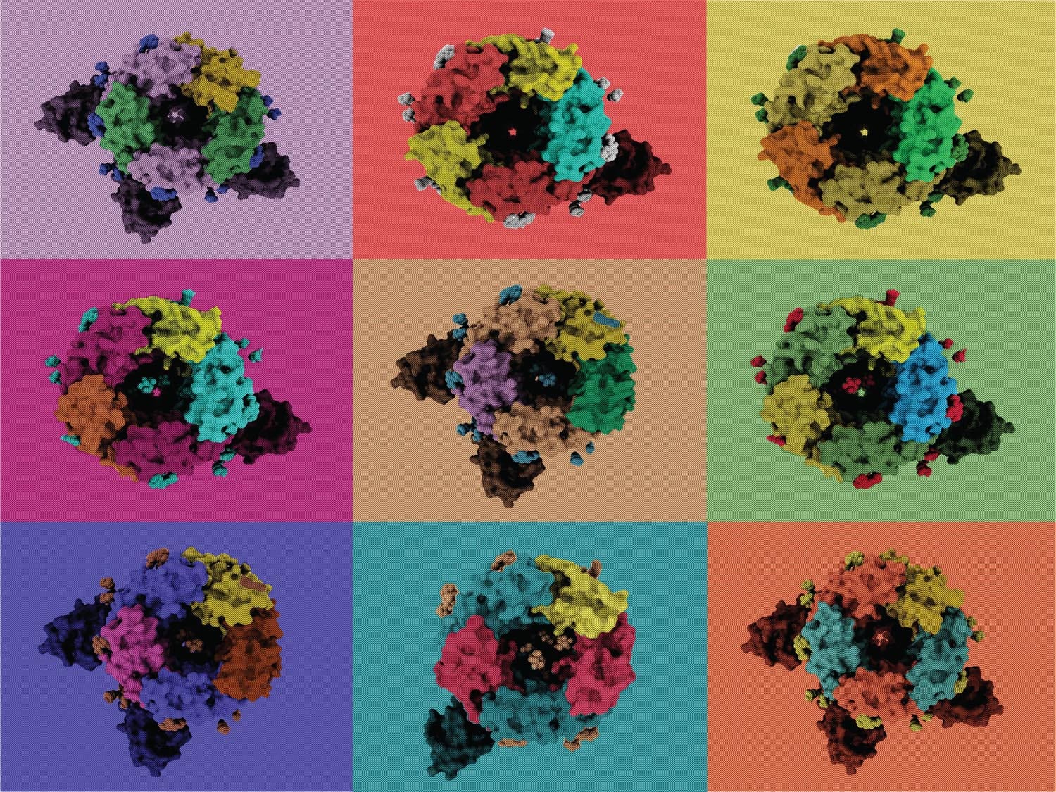GABAA receptors, which mediate essential signalling in the brain and beyond, can assemble into a much larger number of arrangements than previously anticipated. This diversity enables complex responses to both neurotransmitters and drugs. Image shows structures of GABA<sub>A</sub> receptors in variety of arrangements.