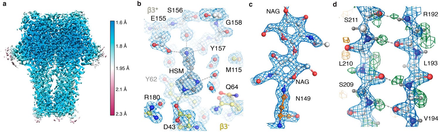 GABAA receptor map snapshots