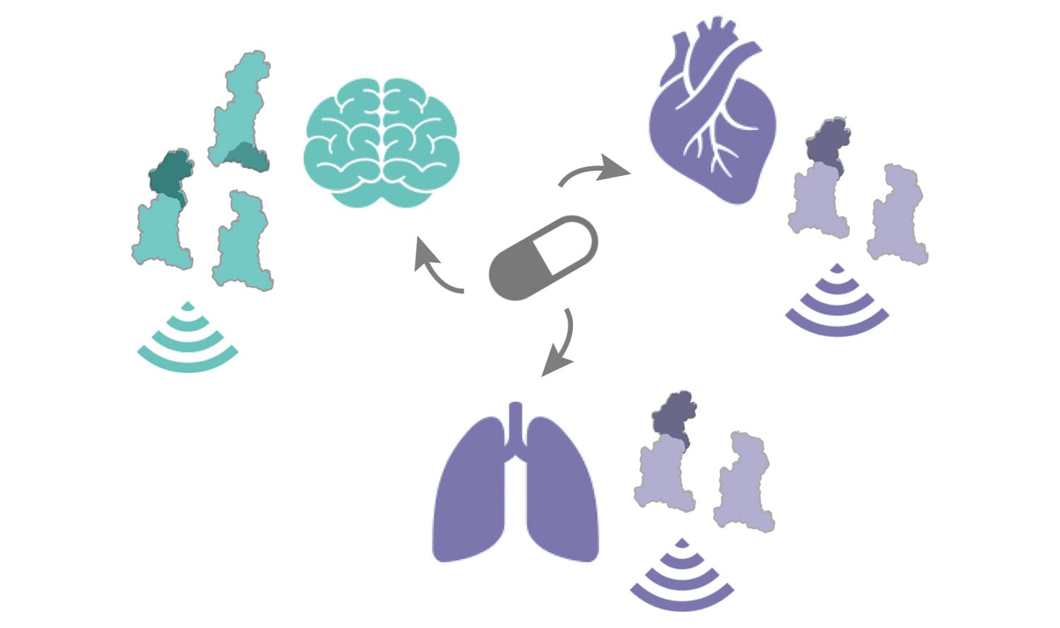 The differential distribution of structurally diverse GPCR isoforms can result in tissue-specific receptor signalling