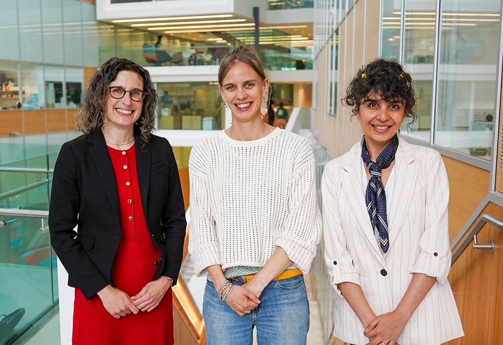 Photo of What Next for Your Career speakers, Beth Thompson, Teresa Thurston and Soudabeh Imanikia