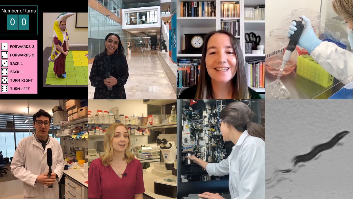 Stills from some of the LMB’s Cambridge Festival videos