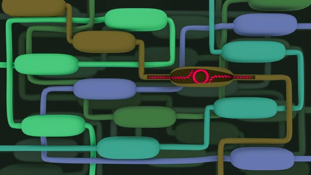Linux Genetic Code Simulator Refactoring the genetic code to create organisms protected by a genetic ...