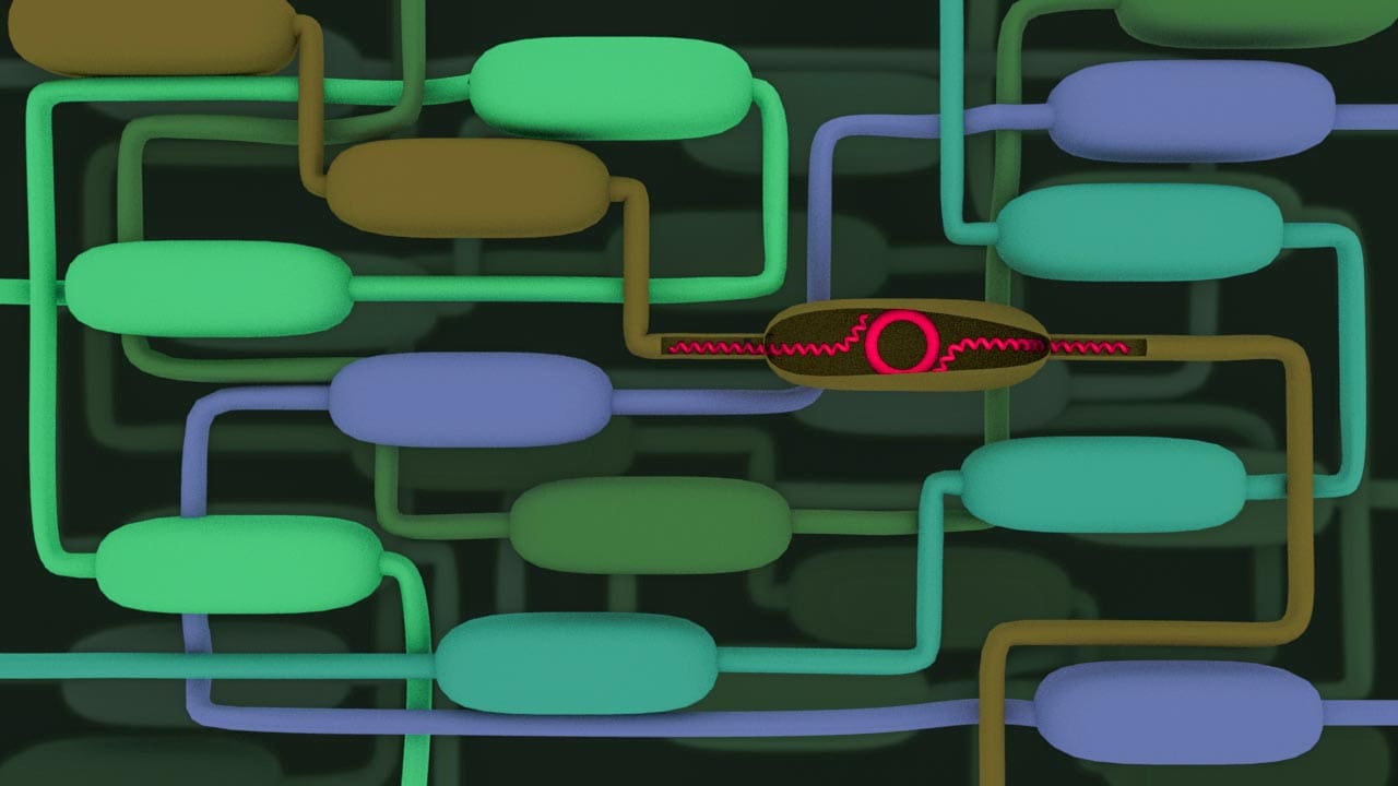 Refactoring the genetic code to create organisms protected by a genetic firewall.