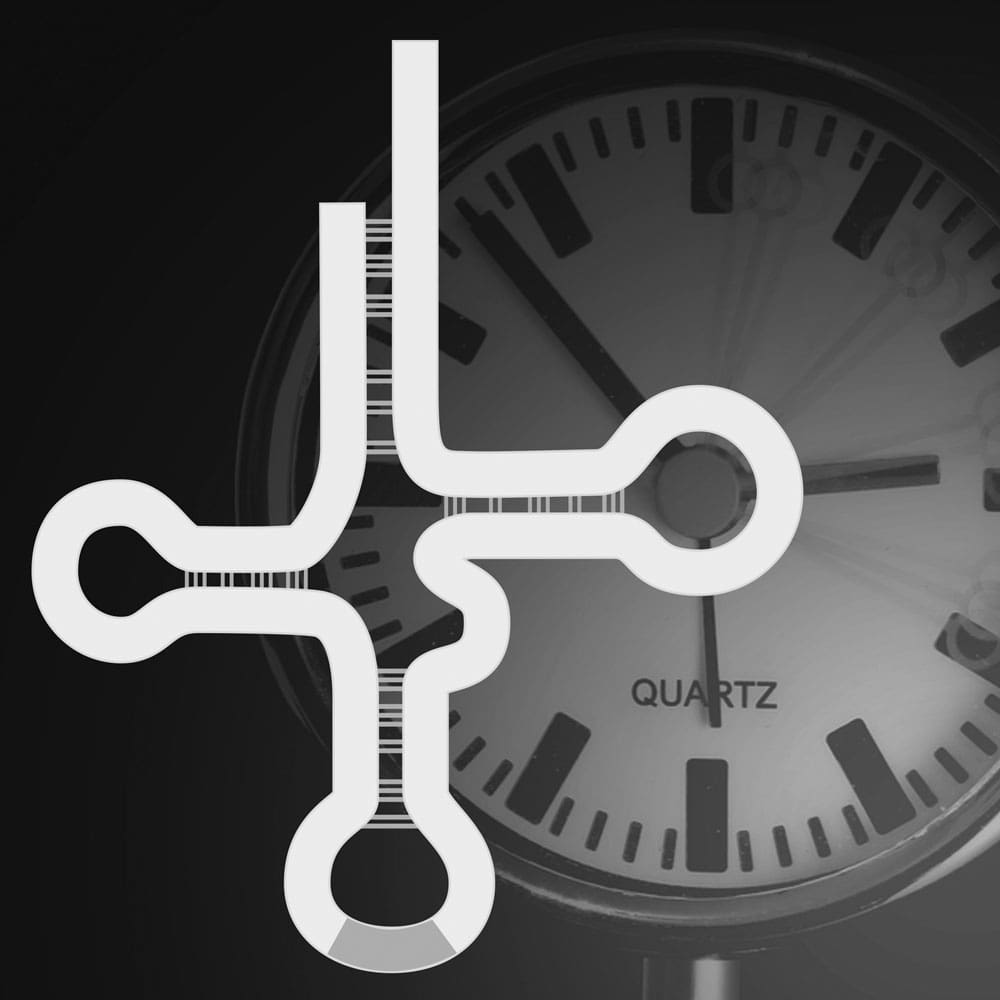 Controlling the body clock with an expanded genetic code