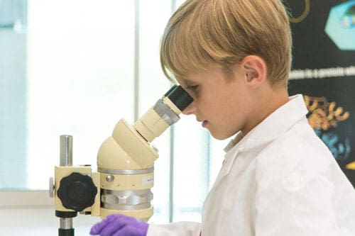 Crystal Winners 2014 - Microscope